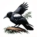 Cornish Chough tattoo design idea
