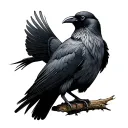 Cornish Chough tattoo design idea