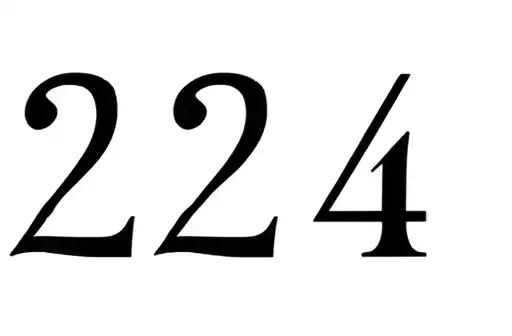 "224" tattoo design idea