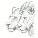 Two lionesses, one bigger than the other, looking at each other face to face tattoo design idea