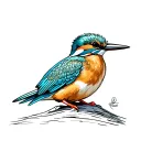 Kingfisher tattoo design idea