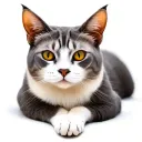 grey and white manx cat lounging sunbathing scene tattoo design idea