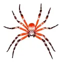 jumping spider tattoo design idea