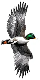 duck flying tattoo design idea