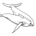 Beluga Whale tattoo design idea