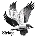 Draw a tattoo design of a swift bird facing forward with its wings fully spread.Under the wings, there is text: “Strige tattoo design idea