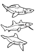 stingray, turtle, and shark swimming tattoo design idea