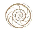 Create a minimalistic tattoo design featuring the golden spiral (Fibonacci spiral) resembling a snail shell. Integrate t tattoo design idea