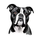 American Bulldog tattoo design idea