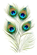 3 peacock feathers tattoo design idea