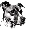 our dogs name NUGGET in a small bone tattoo design idea