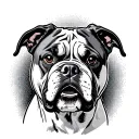 American Bulldog tattoo design idea