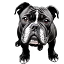 American Bully tattoo design idea