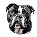 American Bully tattoo design idea