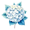 hydrangea, white and blue tattoo design idea