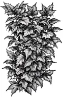 ivy vines tattoo design idea