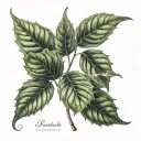 pot leafs spreading tattoo design idea