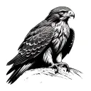 Red Tailed Hawk tattoo design idea