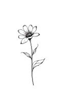 fine line violet flower in black and white tattoo design idea