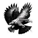 wedtail eagle in full flight with the view from the top  tattoo design idea