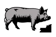 pig outline with brand of Nebraska state outline tattoo design idea