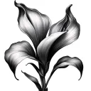 Calla Lilies tattoo design idea