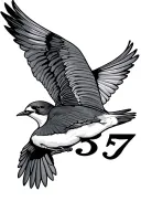 two birds flying with 1957 in roman numerals intertwined tattoo design idea