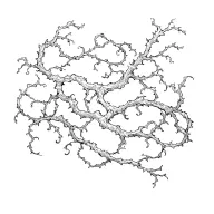 vines tattoo design idea