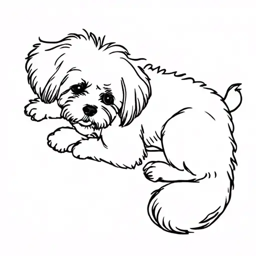 fluffy maltese bichon dog laying on her back tattoo tattoo design idea