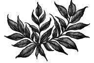 Laurel leaf, upper arm tattoo for men tattoo design idea