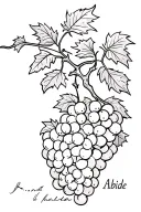 Black and white Tattoo of grape vine with Abide written intertwined as part of vine tattoo design idea