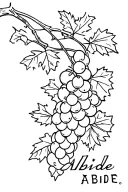 Black and white Tattoo of grape vine with Abide written intertwined as part of vine tattoo design idea