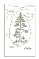 cypress tree tattoo design idea