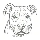 old female black pit bull tattoo design idea