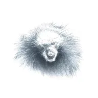 blackout honey badger tattoo design idea