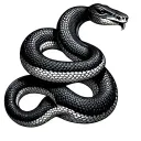 Two Headed Snake tattoo design idea