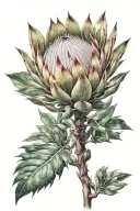 protea flower tattoo design idea