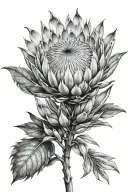 protea flower tattoo design idea