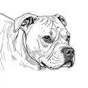 a pit bull terrier tattoo design idea