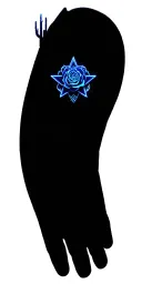 Southwest symbols, cacti, Texas Lone Star, Snakes, Black & Blue Roses tattoo design idea
