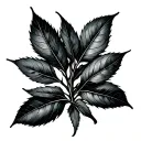 burned bay leaf tattoo design idea