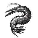 Shrimp tattoo design idea
