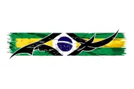 brazil carnaval flag music note intertwined tattoo design idea